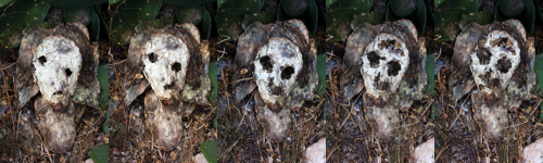 javier andrada la cerca de cactus 13