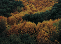 javier andrada entre cielo y agua 02