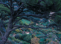 javier andrada entre cielo y agua 03