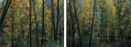 javier andrada entre cielo y agua 04