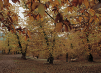 javier andrada entre cielo y agua 06