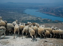 javier andrada entre cielo y agua 11