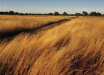 javier andrada entre cielo y agua 18