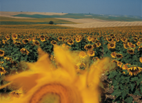 javier andrada entre cielo y agua 21