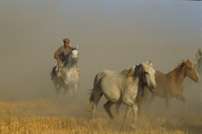 javier andrada fiesta un júbilo compartido 02
