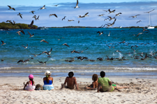 javier andrada habitar galápagos 10