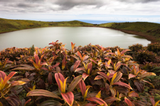 javier andrada habitar galápagos 13