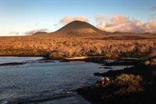 javier andrada habitar galápagos 15