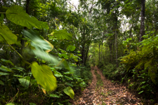 javier andrada habitar galápagos 17