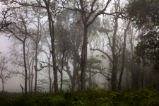 javier andrada habitar galápagos 22