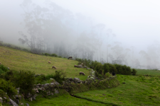 javier andrada sara llakta 02