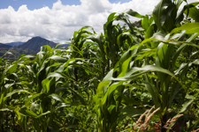 javier andrada sara llakta 05