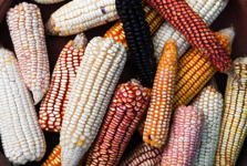 javier andrada sara llakta 09