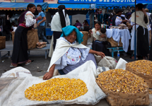 javier andrada sara llakta 10