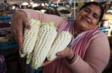 javier andrada sara llakta 13