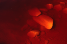 javier andrada el río tinto 09