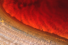 javier andrada el río tinto 12